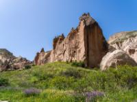 Blumenwiese vor mächtiger Felswand im Zelve Tal
